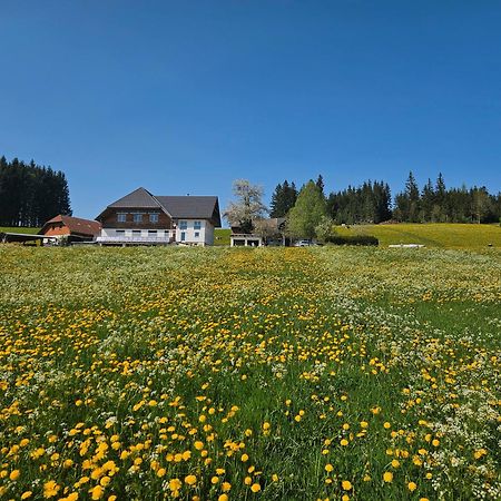 Lorenzenhaeusle Titisee-Neustadt Dış mekan fotoğraf
