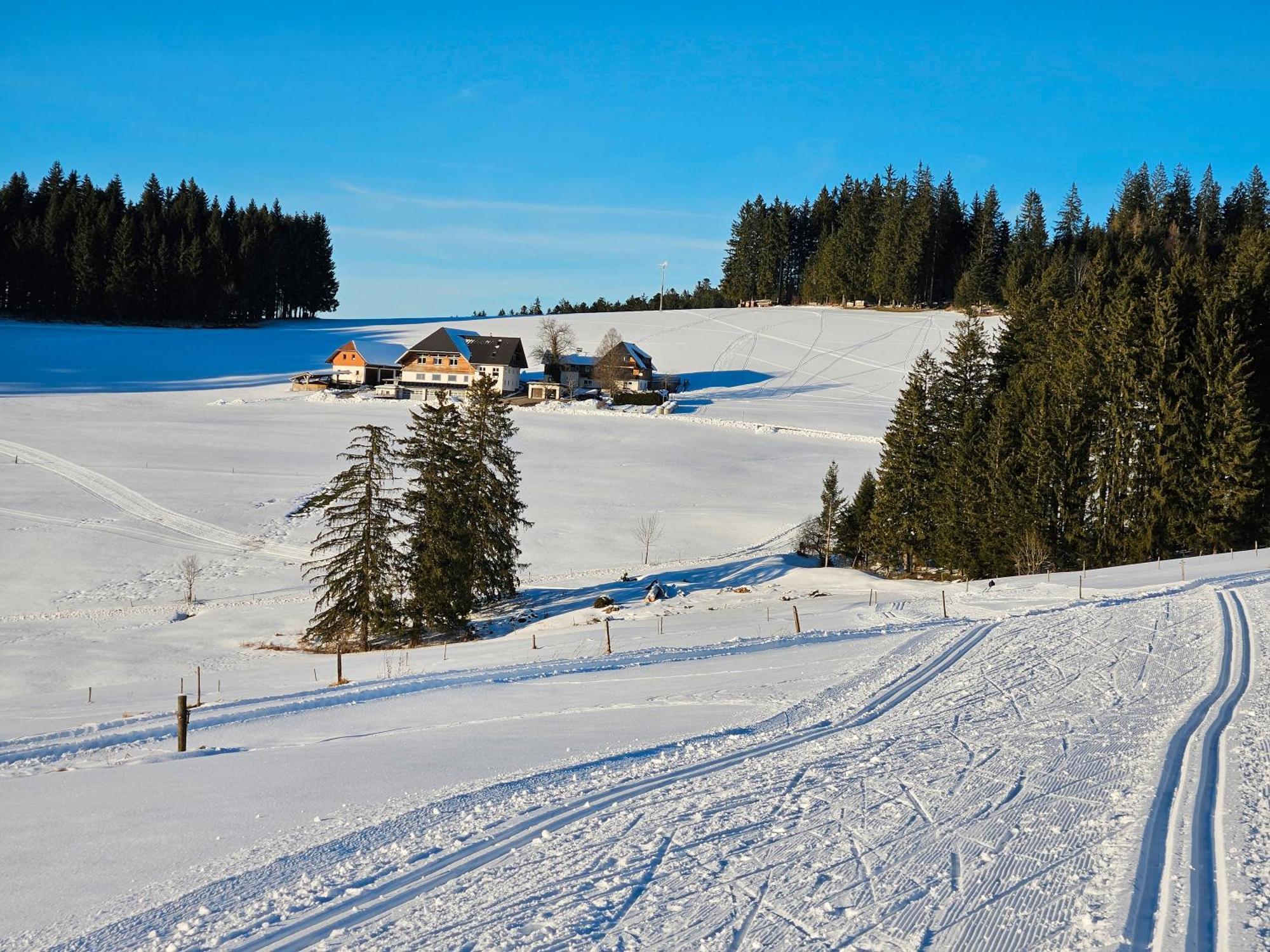 Lorenzenhaeusle Titisee-Neustadt Dış mekan fotoğraf