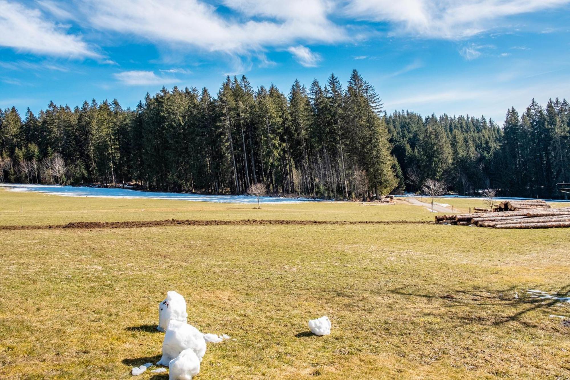 Lorenzenhaeusle Titisee-Neustadt Dış mekan fotoğraf