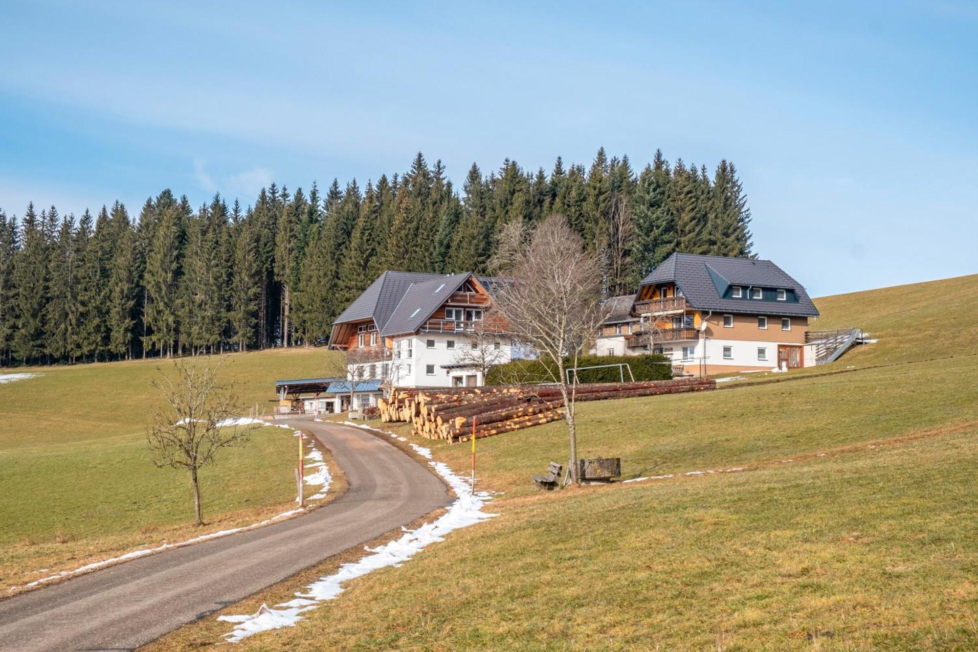 Lorenzenhaeusle Titisee-Neustadt Dış mekan fotoğraf