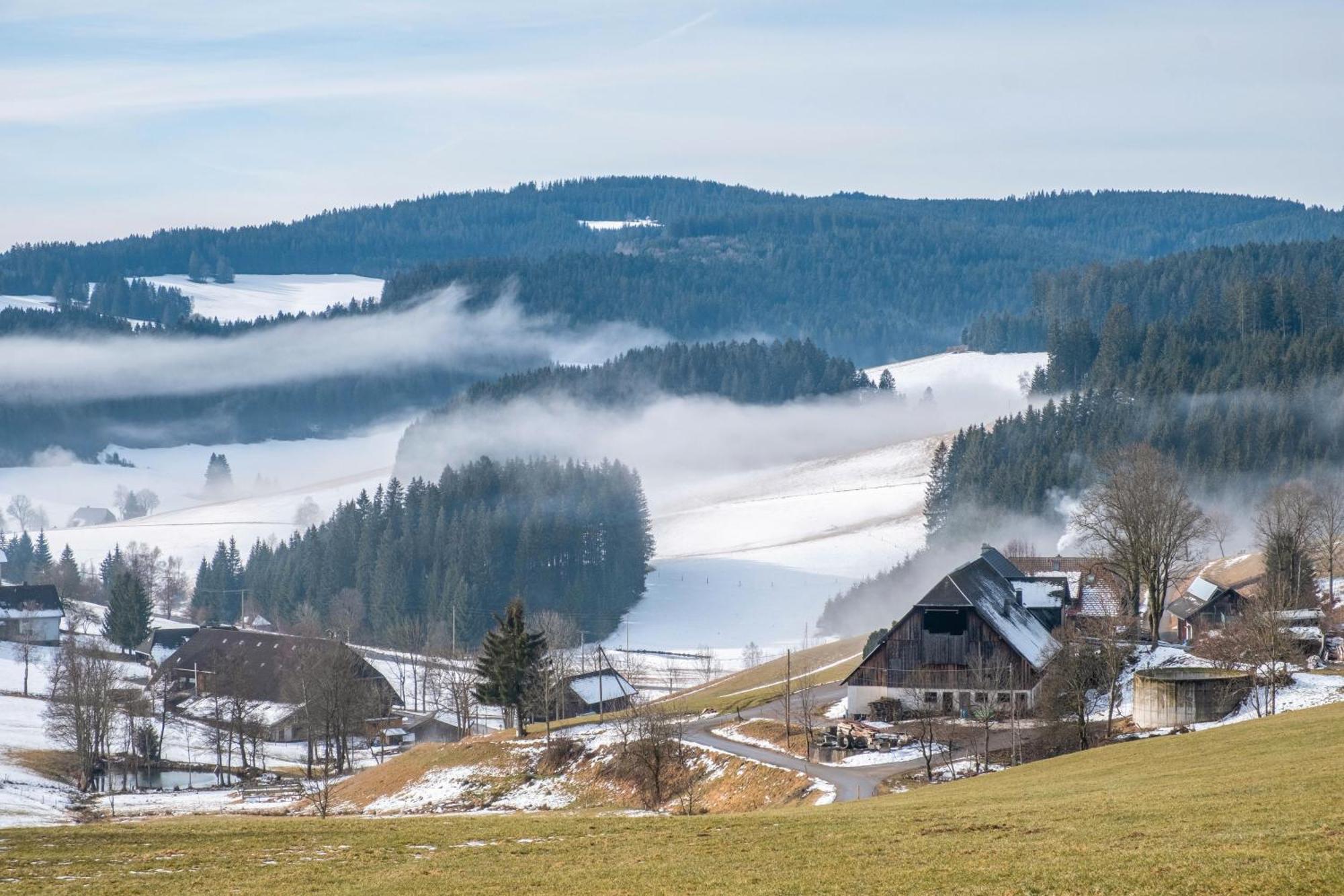 Lorenzenhaeusle Titisee-Neustadt Dış mekan fotoğraf
