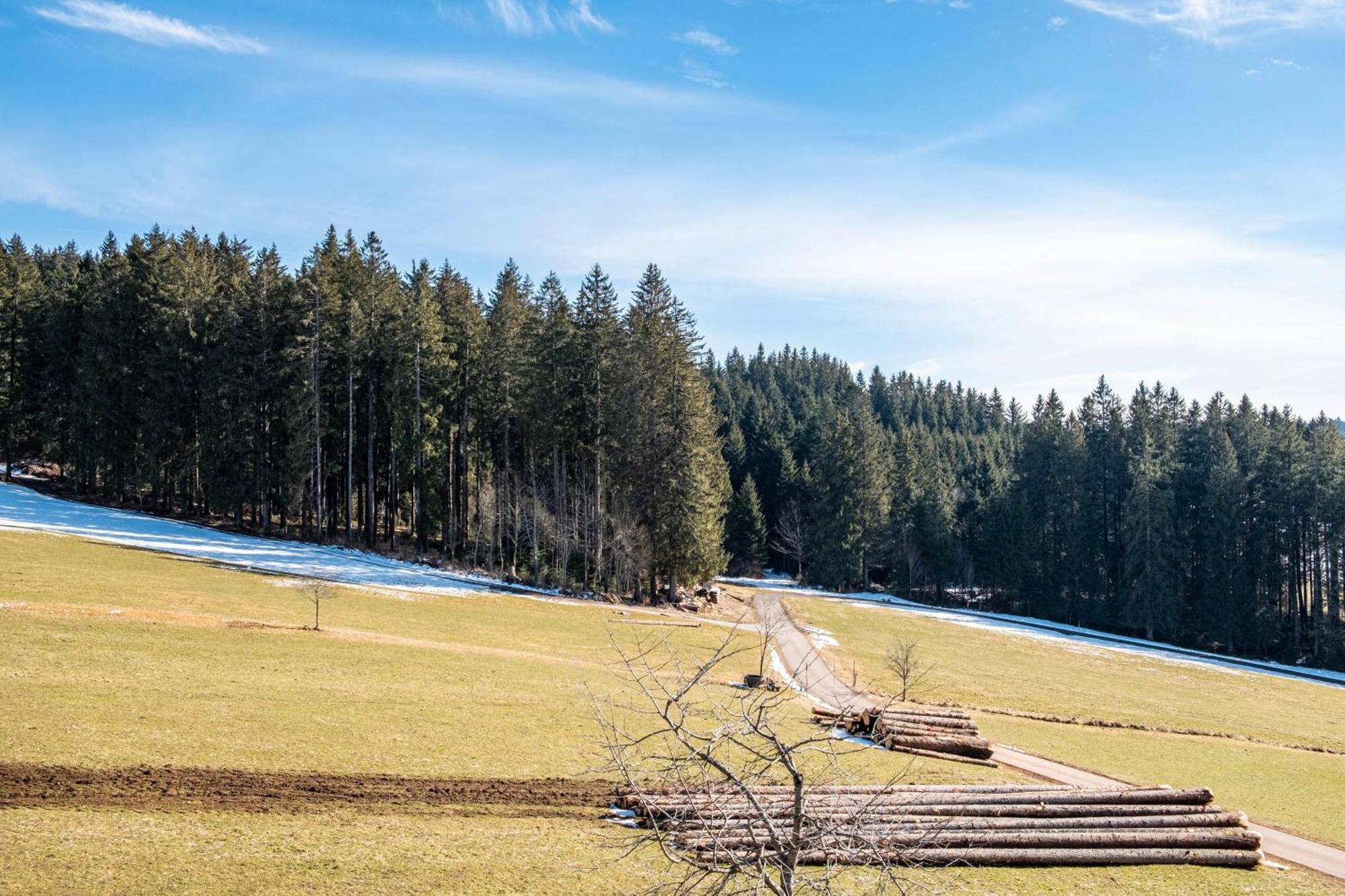 Lorenzenhaeusle Titisee-Neustadt Dış mekan fotoğraf