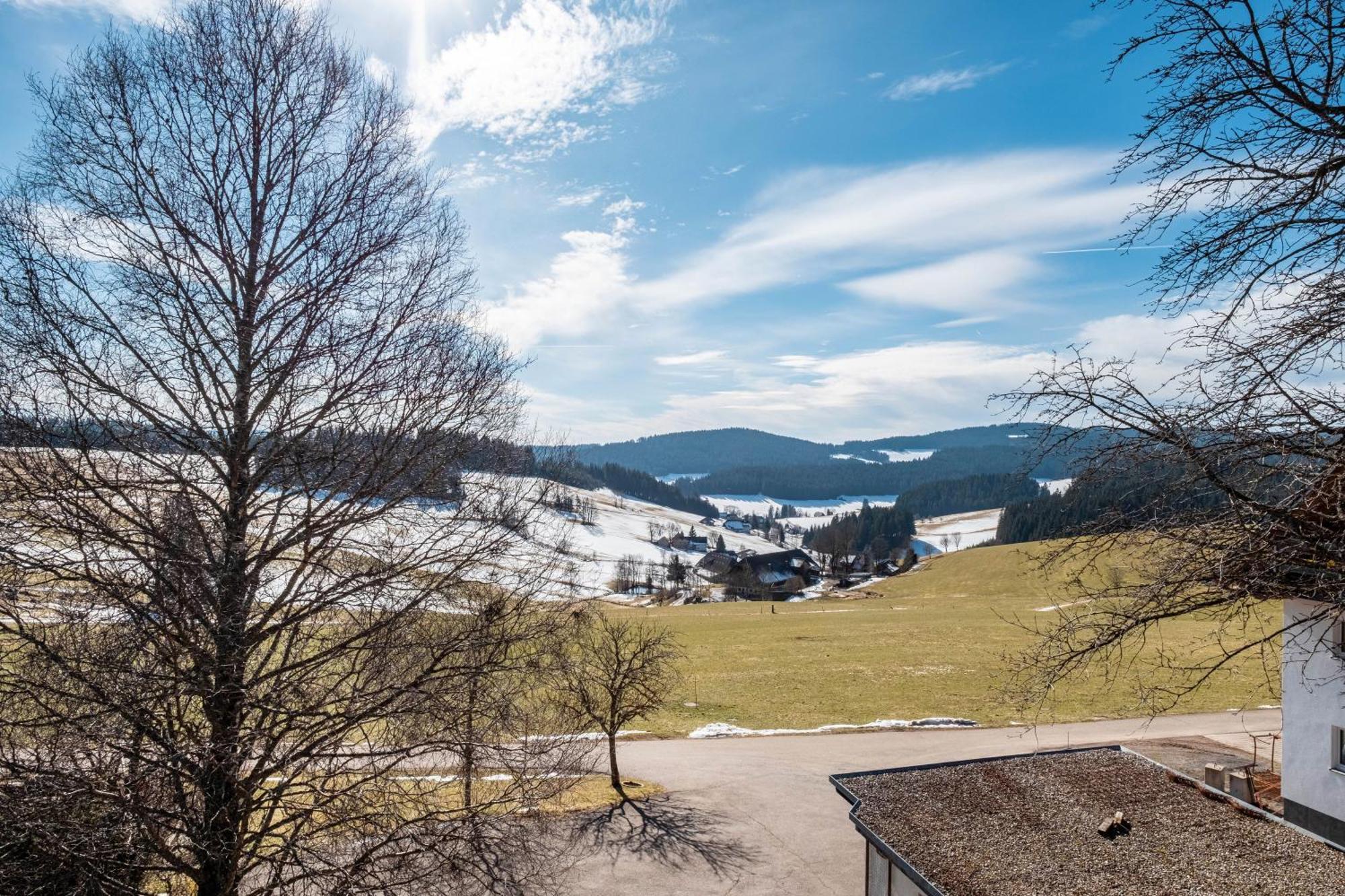 Lorenzenhaeusle Titisee-Neustadt Dış mekan fotoğraf