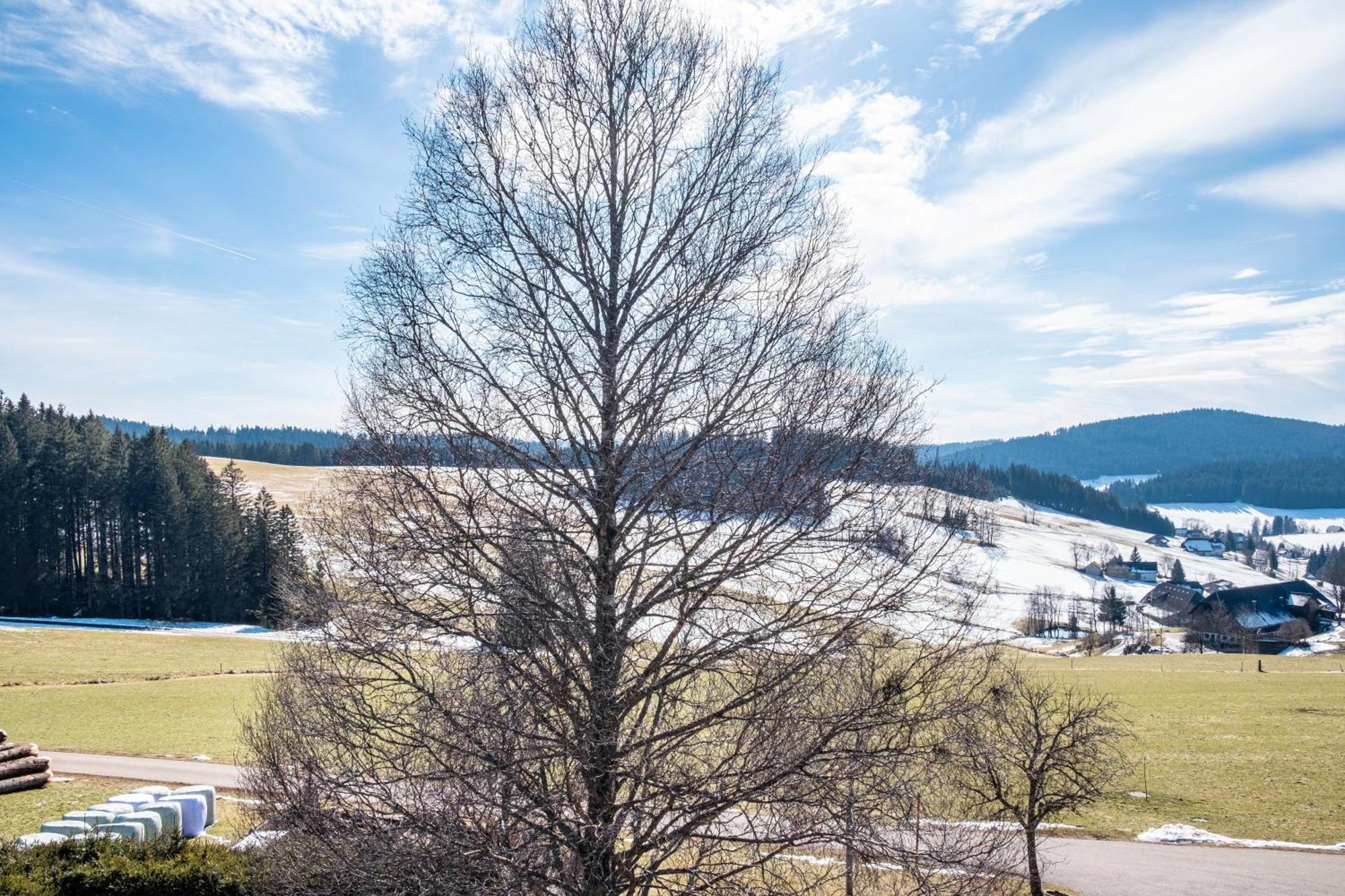 Lorenzenhaeusle Titisee-Neustadt Dış mekan fotoğraf