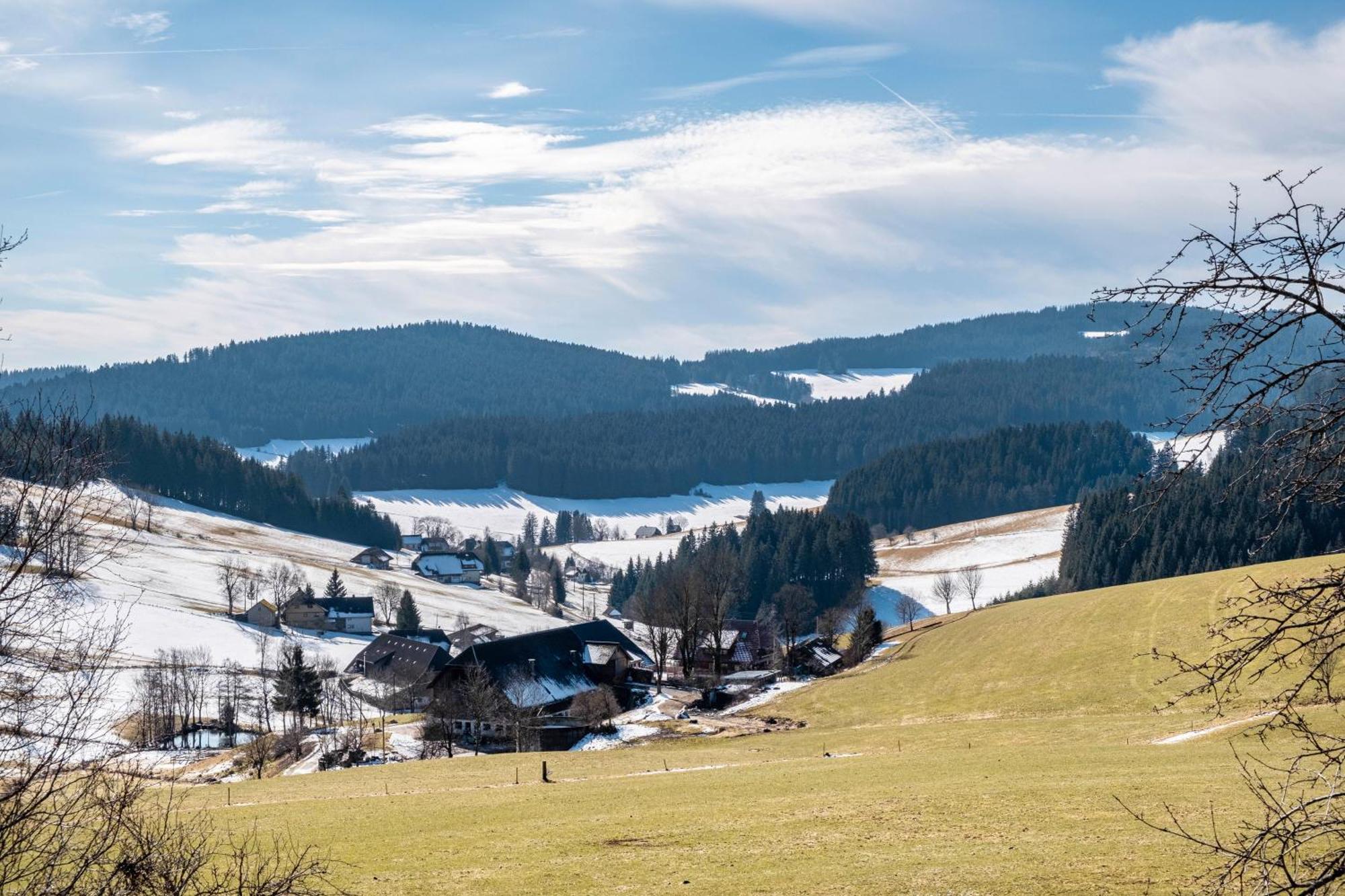 Lorenzenhaeusle Titisee-Neustadt Dış mekan fotoğraf