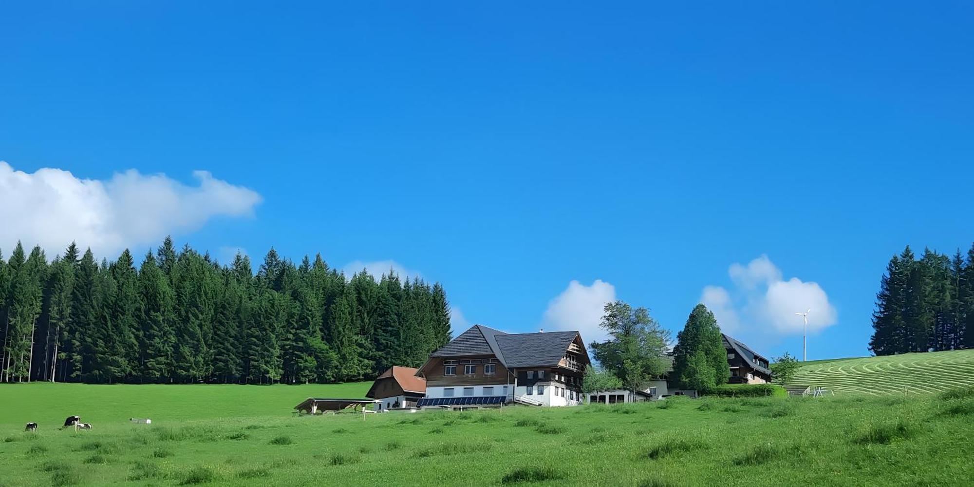 Lorenzenhaeusle Titisee-Neustadt Dış mekan fotoğraf