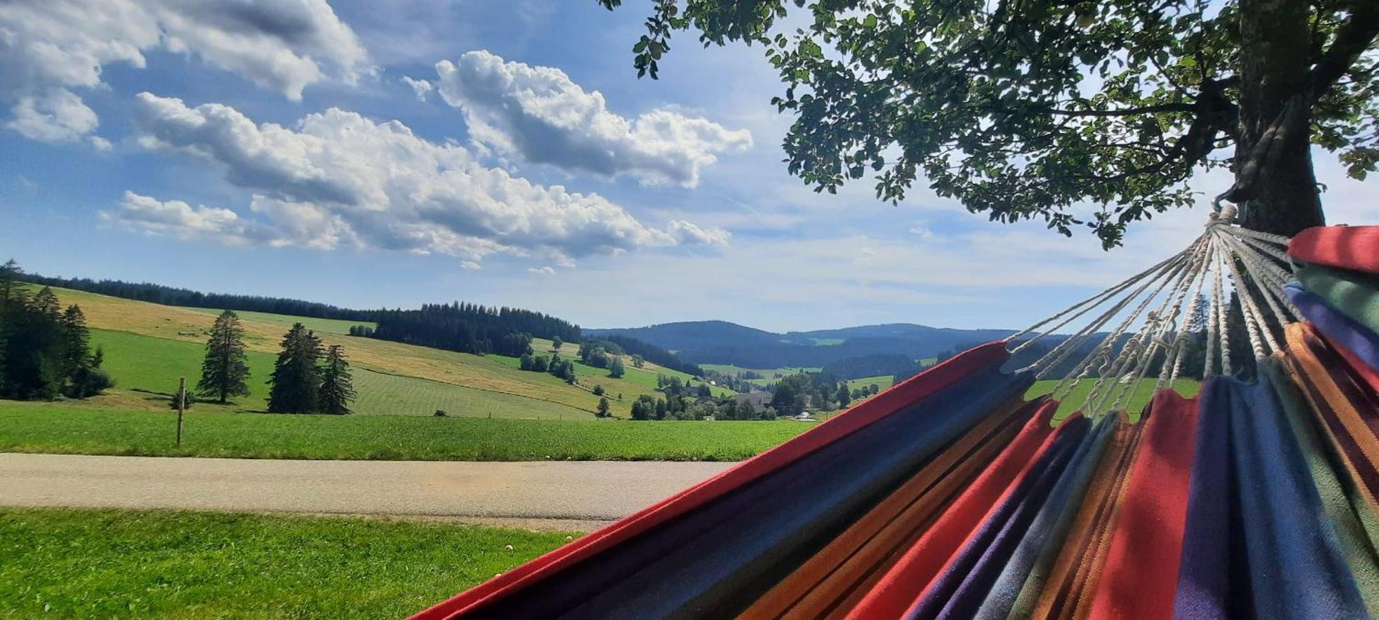 Lorenzenhaeusle Titisee-Neustadt Dış mekan fotoğraf
