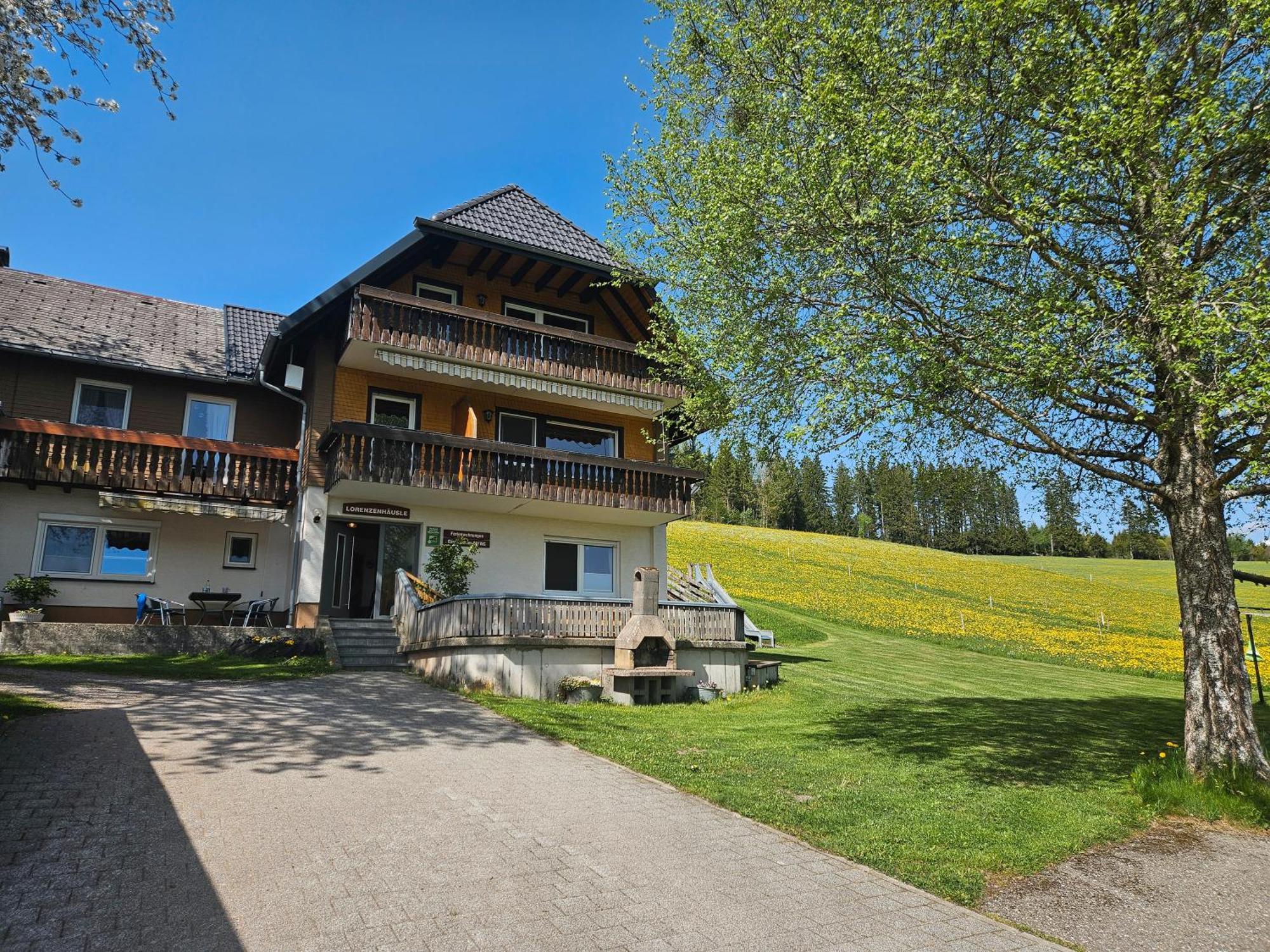 Lorenzenhaeusle Titisee-Neustadt Dış mekan fotoğraf