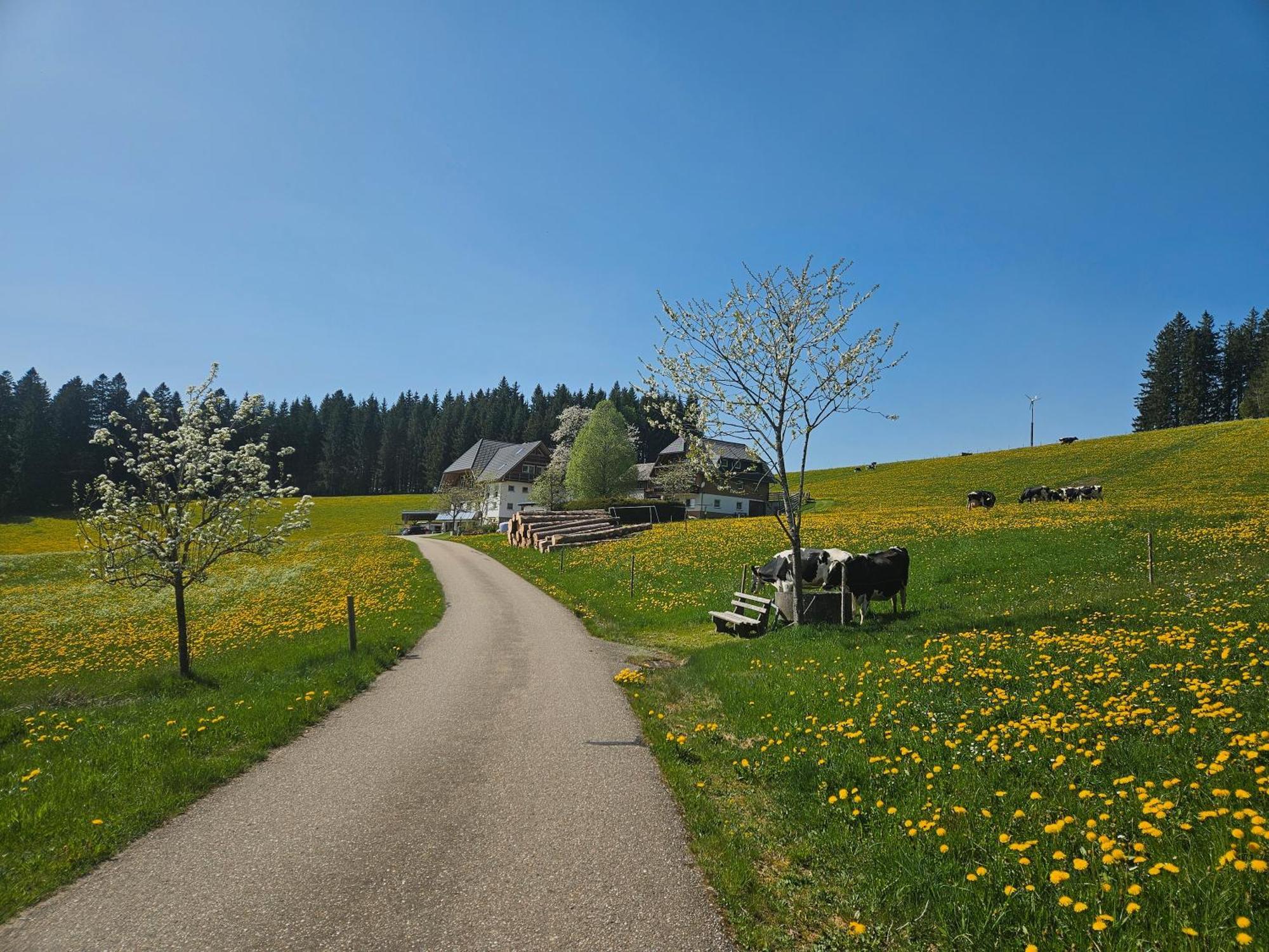 Lorenzenhaeusle Titisee-Neustadt Dış mekan fotoğraf